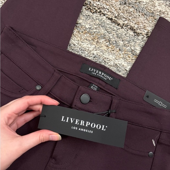 Liverpool Skinny Jeans/Jeggings In Aubergine Sz 0/25P NWT | Liverpool Skinny - - Picture 3 of 13